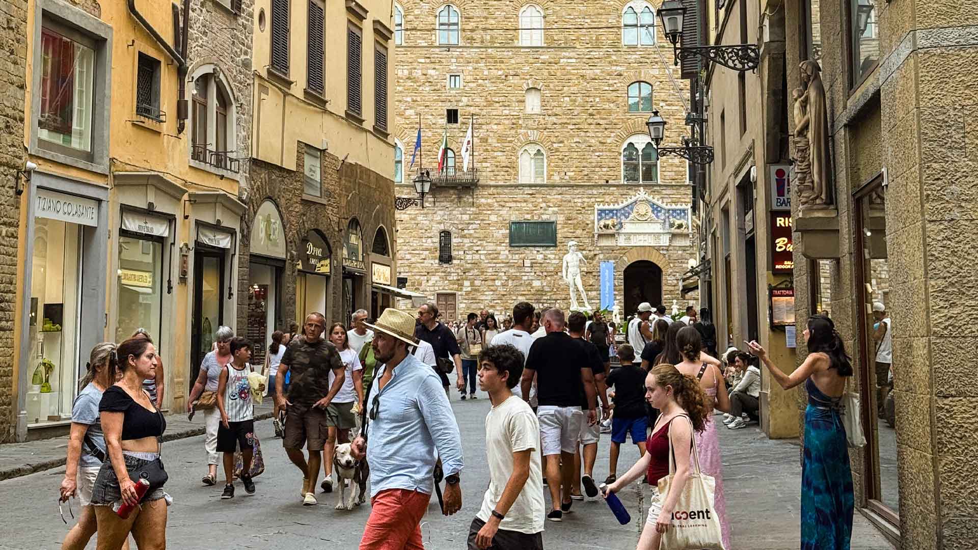 Renaissance Masterpiece David & Historic Florence Tour